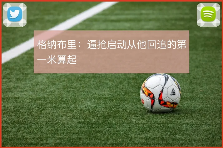 格纳布里:逼抢启动从他回追的第一米算起